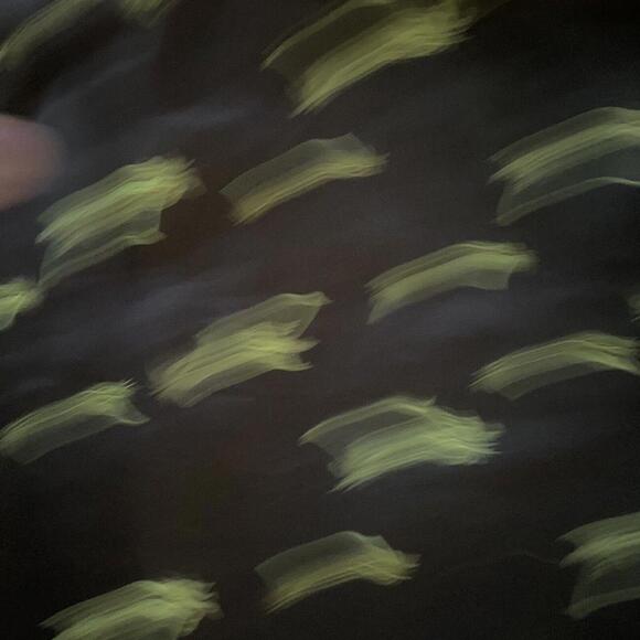 Women’s Black And Green Palm Tree Skirt Size 8 - Picture 2 of 5